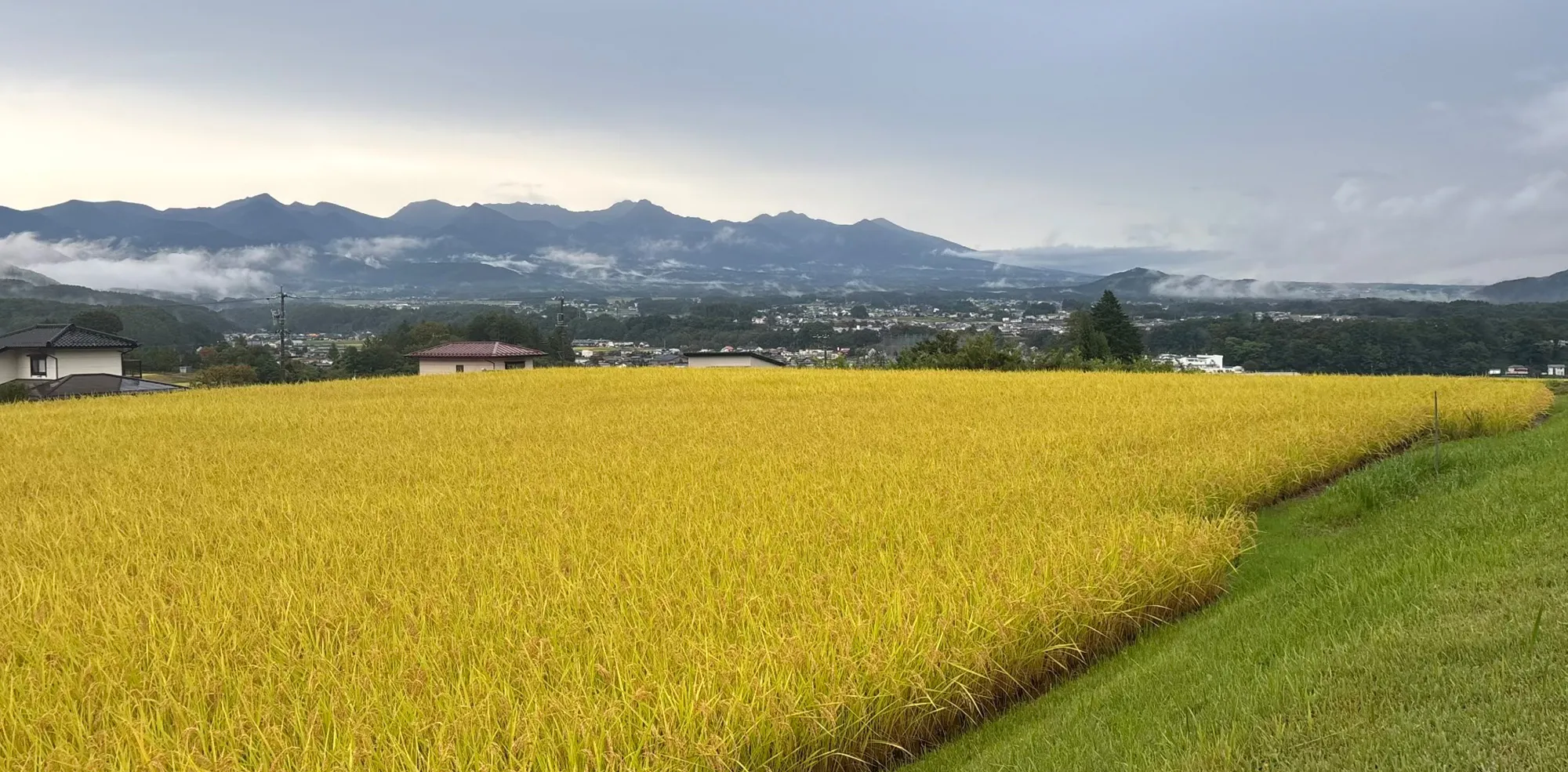ますたかららぼ　マスタカラボ masutakalabo 信州 諏訪市 料理教室